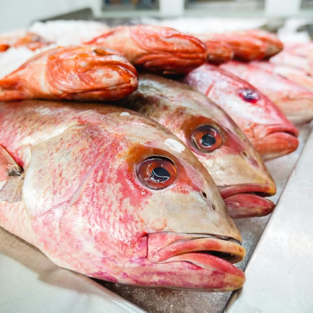 pexels-kindelmedia-8352787